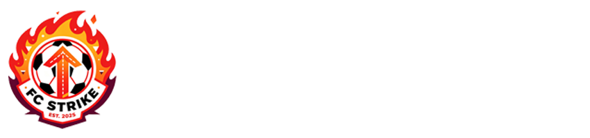 纬来体育直播
